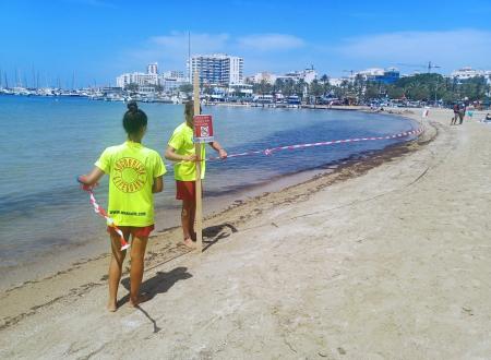 El Ayuntamiento de Sant Antoni cierra al baño el primer tramo de la playa de s'Arenal por presencia de la bacteria E. coli
